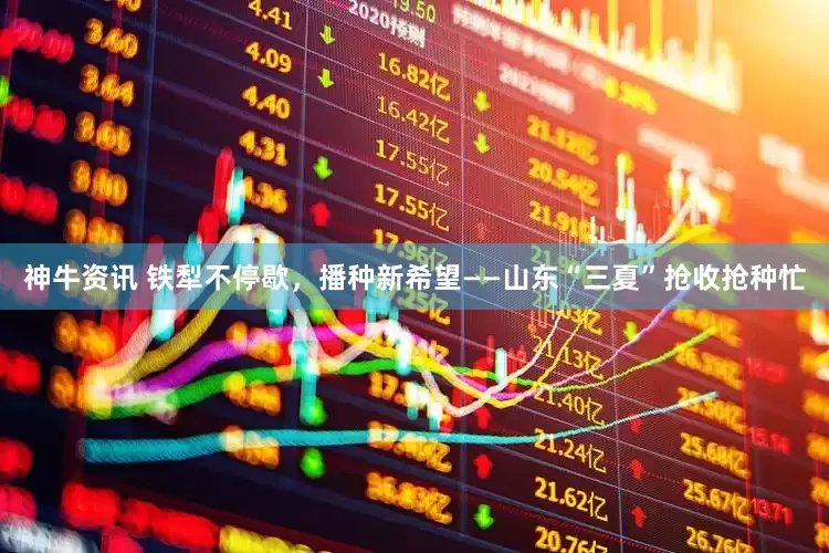 神牛资讯 铁犁不停歇，播种新希望——山东“三夏”抢收抢种忙