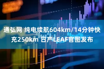 通弘网 纯电续航604km/14分钟快充250km 日产LEAF官图发布