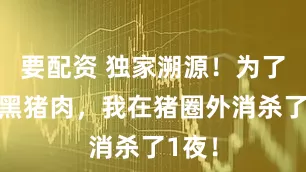 要配资 独家溯源！为了这口黑猪肉，我在猪圈外消杀了1夜！