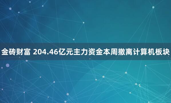 金砖财富 204.46亿元主力资金本周撤离计算机板块