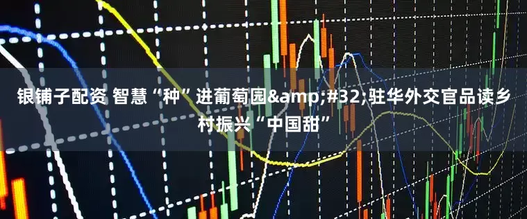 银铺子配资 智慧“种”进葡萄园&#32;驻华外交官品读乡村振兴“中国甜”