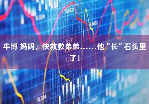 牛博 妈妈，快救救弟弟……他“长”石头里了！