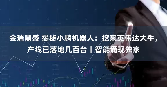 金瑞鼎盛 揭秘小鹏机器人：挖来英伟达大牛，产线已落地几百台｜智能涌现独家
