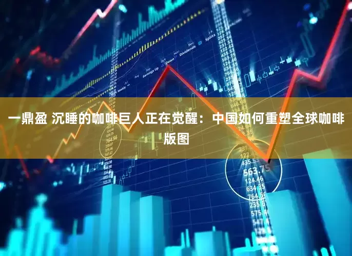 一鼎盈 沉睡的咖啡巨人正在觉醒：中国如何重塑全球咖啡版图