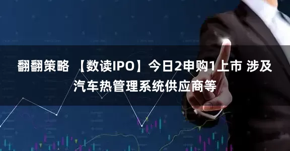 翻翻策略 【数读IPO】今日2申购1上市 涉及汽车热管理系统供应商等