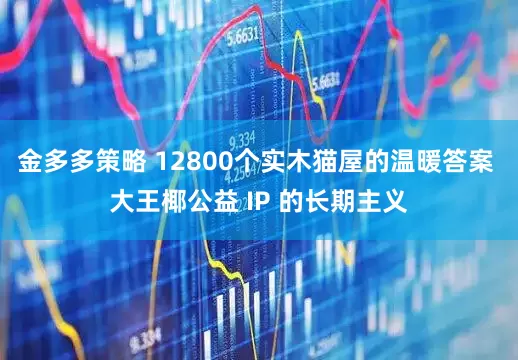 金多多策略 12800个实木猫屋的温暖答案 大王椰公益 IP 的长期主义