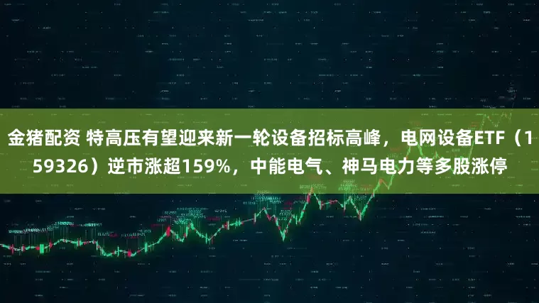 金猪配资 特高压有望迎来新一轮设备招标高峰，电网设备ETF（159326）逆市涨超159%，中能电气、神马电力等多股涨停